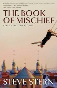 Steve Stern - The Book of Mischief: New and Selected Stories