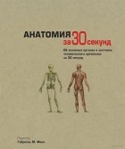 без автора - Анатомия за 30 секунд