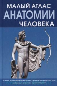 Т. Селезнева - Малый атлас анатомии человека