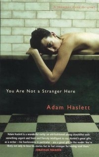 Adam Haslett - You are not a stranger here