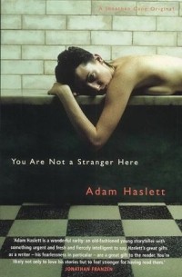 Adam Haslett - You are not a stranger here