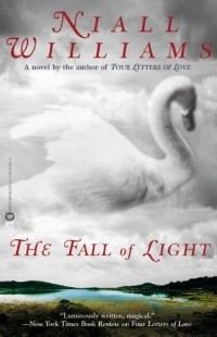 Niall Williams - The Fall of Light