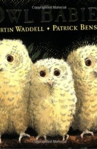  - Owl Babies