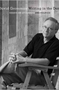David Grossman - Writing in the Dark: Essays on Literature and Politics