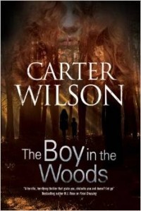 Carter Wilson - The Boy in the Woods