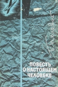 Борис Полевой - Повесть о настоящем человеке