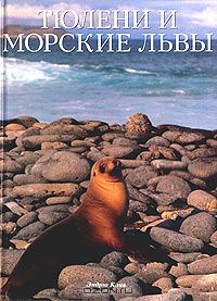 Эндрю Клив - Тюлени и морские львы