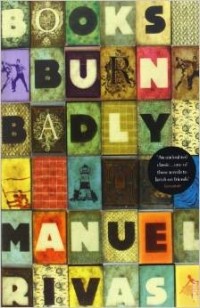 Manuel Rivas - Books Burn Badly
