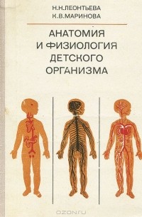 Анатомия И Физиология Детского Организма. Внутренние Органы.