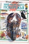 Мир морского побережья