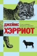 О всех созданиях - прекрасных и разумных