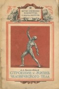 Александр Малиновский - Строение и жизнь человеческого тела
