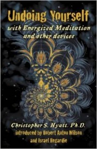 Кристофер Хайятт - Undoing Yourself With Energized Meditation & Other Devices