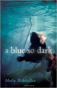 Holly Schindler - A Blue So Dark