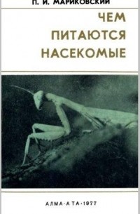 Чем питаются насекомые