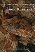 Змеи Кавказа
