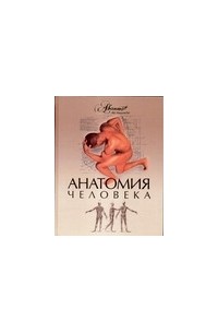  - Анатомия человека