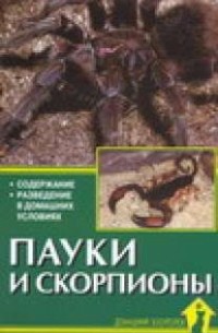 Чегодаев А.Е. - Пауки и скорпионы