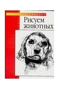 Уолтер Т. Фостер - Рисуем животных