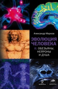 Александр Марков - Эволюция человека. В 2 книгах. Книга 2. Обезьяны, нейроны и душа