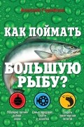 Алексей Горяйнов - Как поймать большую рыбу?