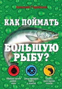 Алексей Горяйнов - Как поймать большую рыбу?