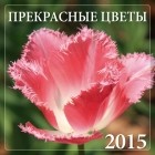 Марина Лацис - Прекрасные цветы 2015
