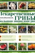 Михаил Вишневский - Лекарственные грибы. Большая энциклопедия
