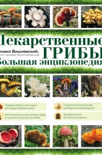 Михаил Вишневский - Лекарственные грибы. Большая энциклопедия