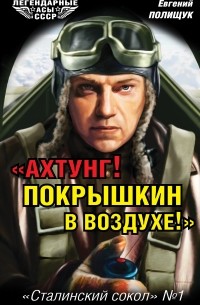 Евгений Полищук - «Ахтунг! Покрышкин в воздухе!». «Сталинский сокол» № 1