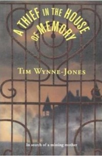 Тим Винн-Джонс - A Thief in the House of Memory
