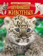 без автора - Детеныши животных