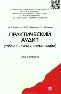 - Практический аудит. Таблицы, схемы, комментарии. Учебное пособие