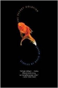 David Means - The Secret Goldfish: Stories