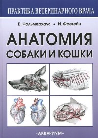  - Анатомия собаки и кошки