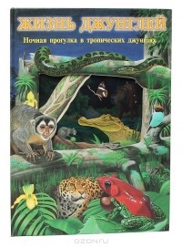 Питер Райли - Жизнь джунглей. Ночная прогулка в тропических джунглях