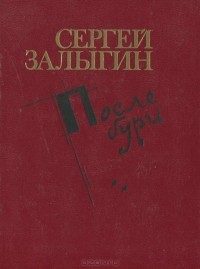 Сергей Залыгин - После бури. Книга 2