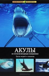 Жаклин Форти - Акулы и глубоководные хищники. Иллюстрированная энциклопедия