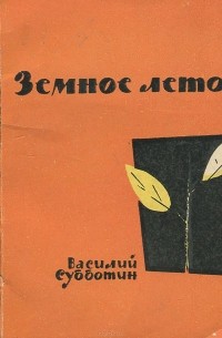 Василий Субботин - Земное лето