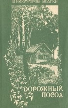 Василий Никифоров-Волгин - Дорожный посох
