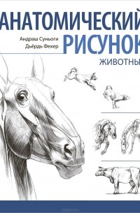Анатомический рисунок. Животные