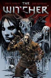 The Witcher: Volume 1 : House of Glass