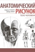  - Анатомический рисунок. Тело человека