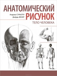  - Анатомический рисунок. Тело человека
