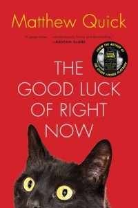 Matthew Quick - The Good Luck of Right Now