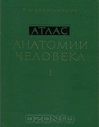 Рафаил Синельников - Атлас анатомии человека. В 3 томах. Том 1