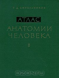 Рафаил Синельников - Атлас анатомии человека. В 3 томах. Том 2