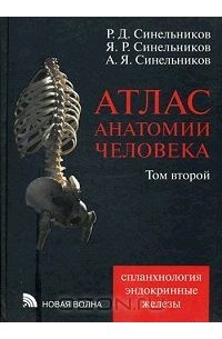  - Атлас анатомии человека. В 4 томах. Том 2