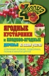 Ольга Николаева - Ягодные кустарники и плодово-ягодные  деревья на вашем участке. Отличный урожай, подкормка, полив и многое другое