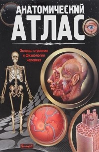  - Анатомический атлас. Основы строения и физиологии человека
